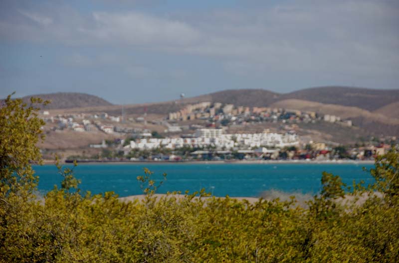 DSC_8657