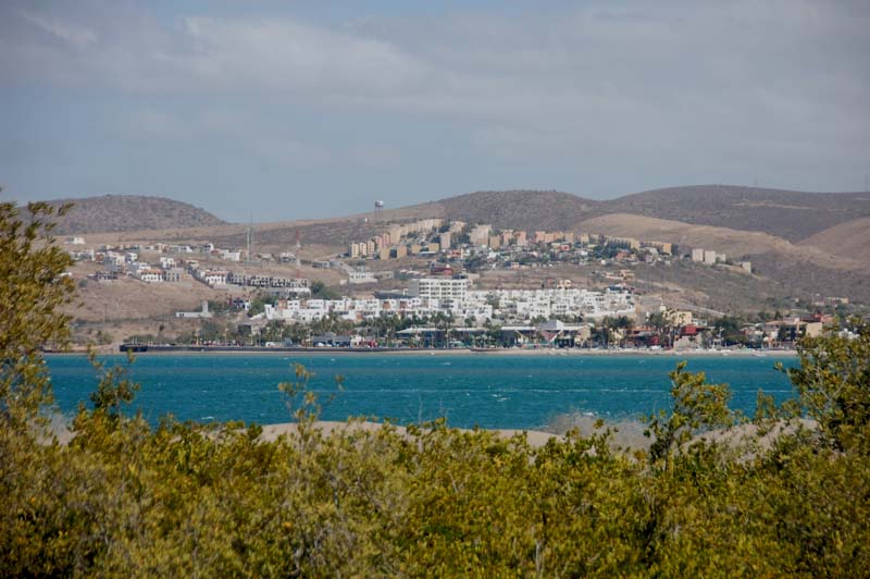 DSC_8658
