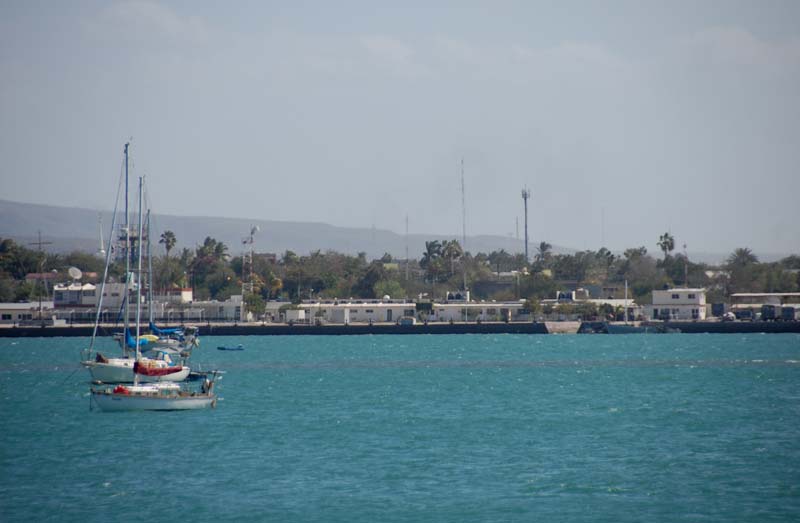 DSC_8664