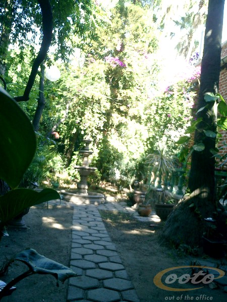CIMG0024