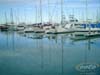 CIMG0022