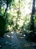 CIMG0024