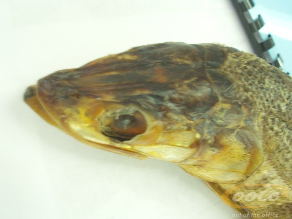 P2290002