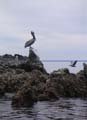 PICT0026