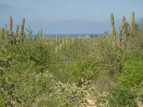 DSC00647