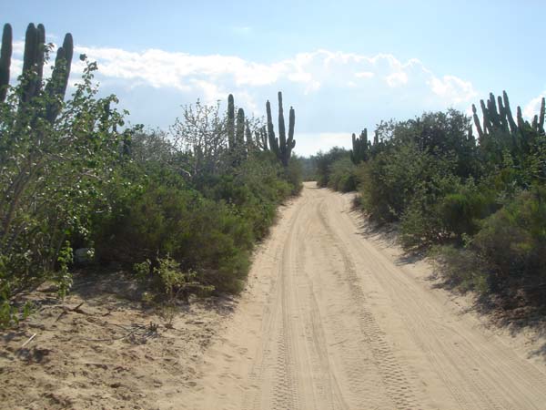 DSC00658