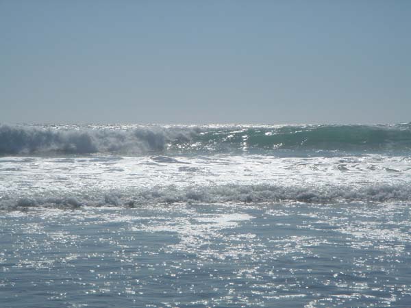 DSC00707