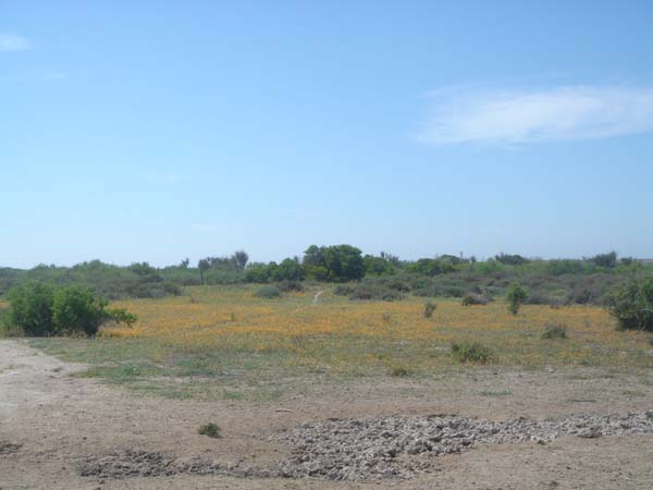 DSC00722