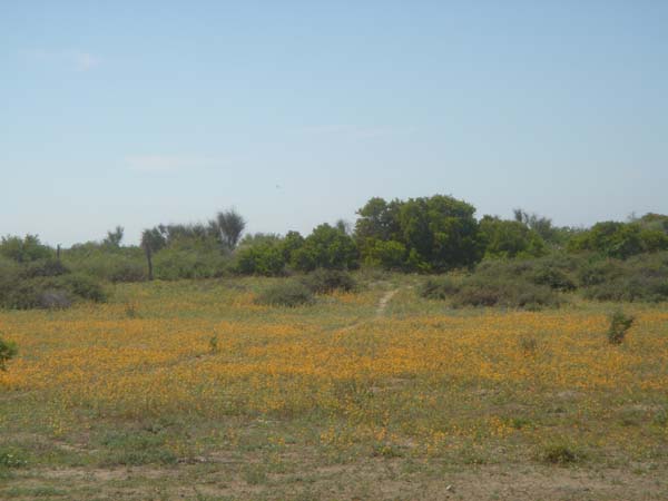 DSC00723
