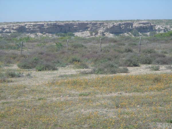 DSC00724