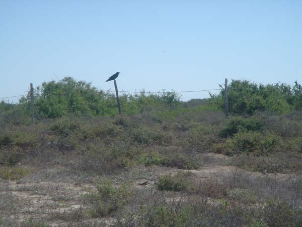 DSC00725