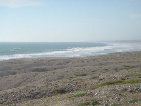 DSC00731