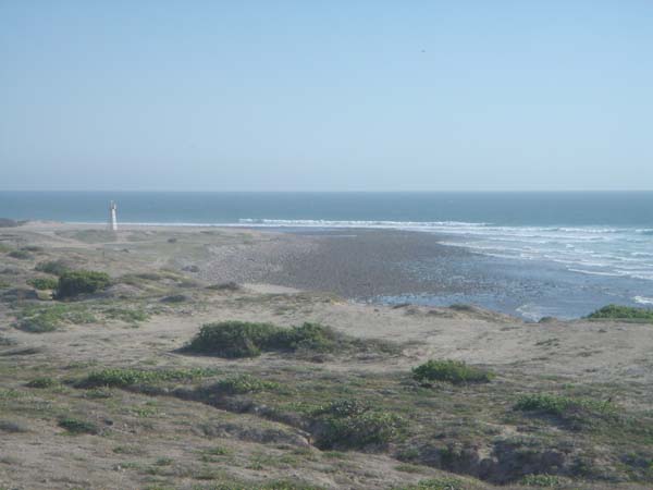 DSC00732