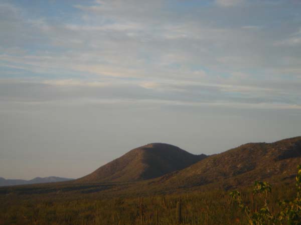 DSC00780