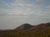 DSC00780