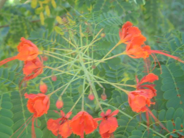 DSC00825
