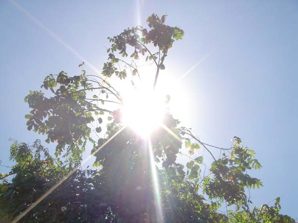 DSC00876