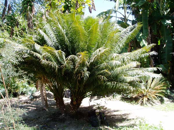 P1010092_1