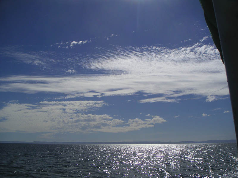 PICT0202