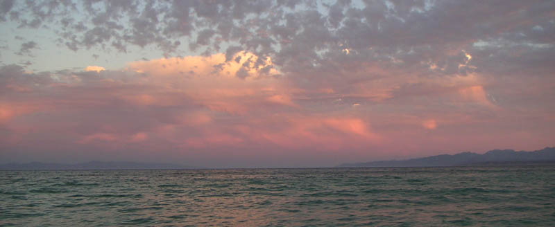 PICT0226