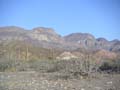 PICT0081