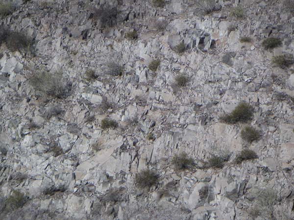 PICT0014