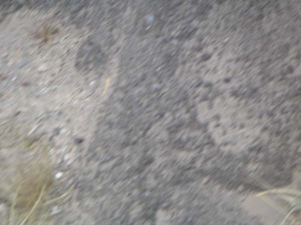 PICT0040