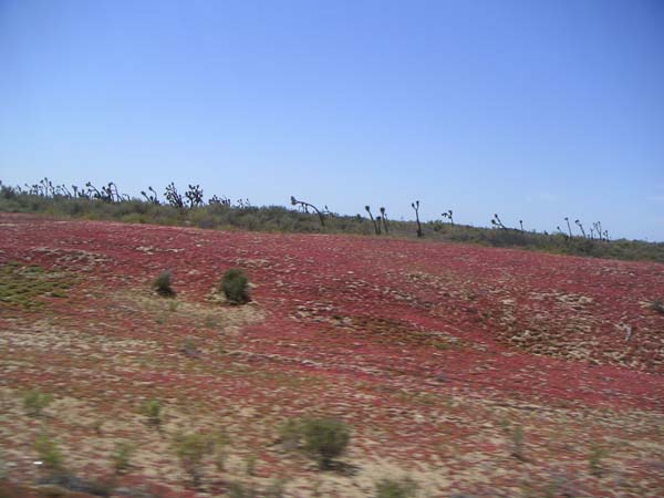 PICT0046