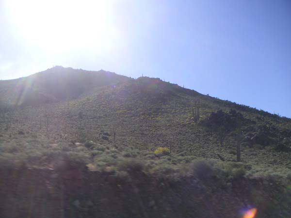 PICT0055