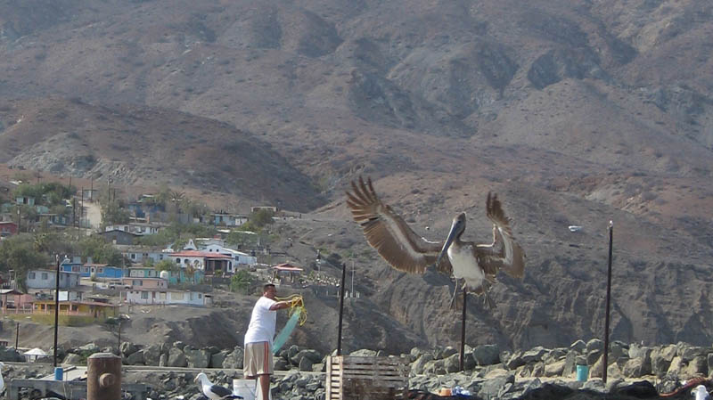 IMG_0050