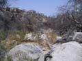 PICT0018