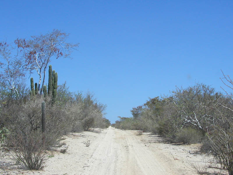 P4190003