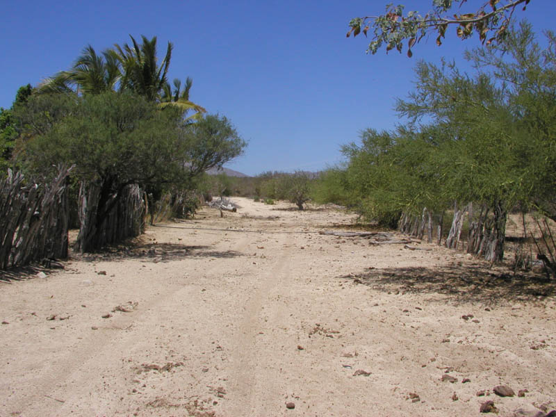 P4200019