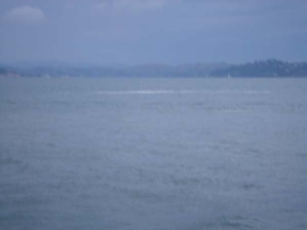 DSC01076