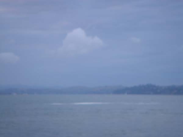 DSC01077