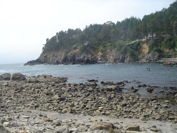 DSC01249