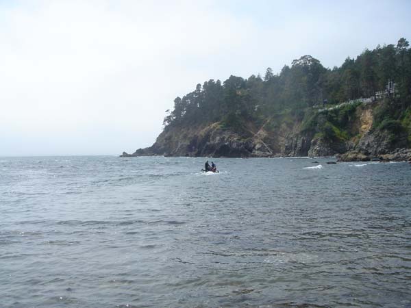 DSC01252