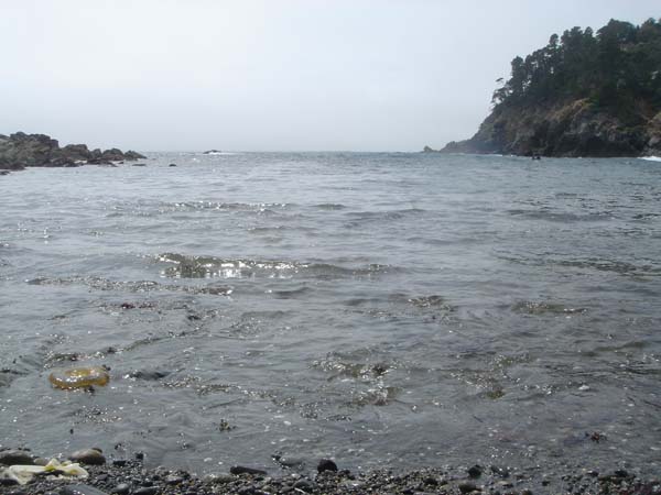 DSC01255