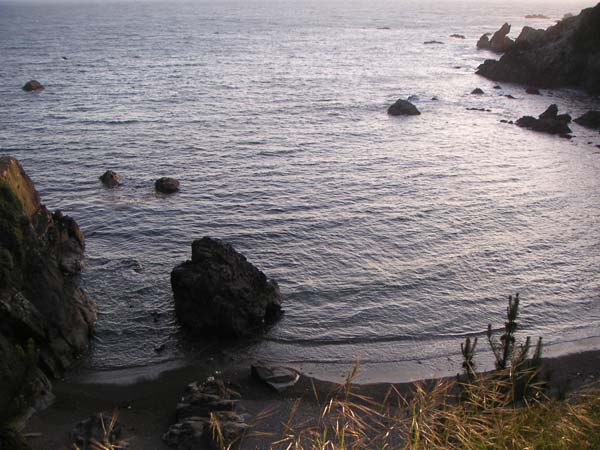 PICT0029