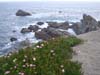 DSC01300