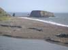 PICT0019