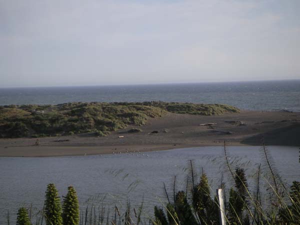 PICT0017