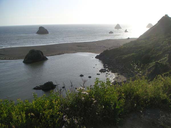 PICT0024