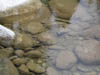 051404 065