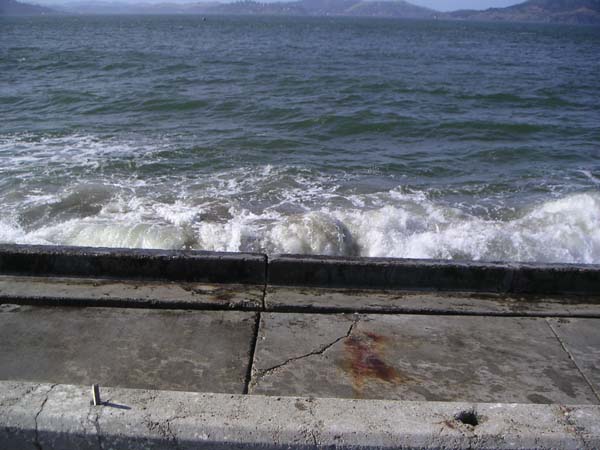 PICT0007