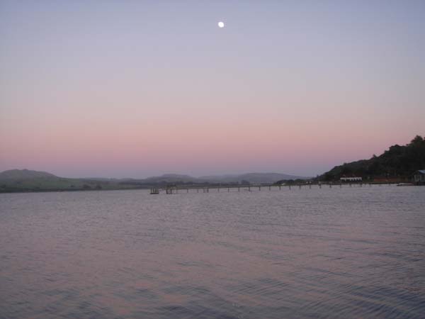 DSC01399