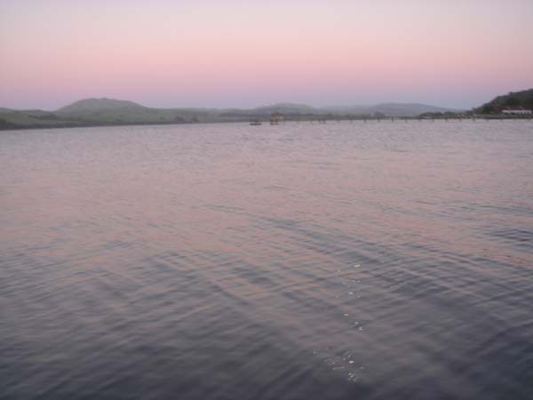 DSC01402