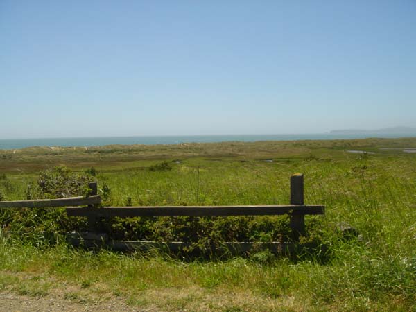 DSC01408