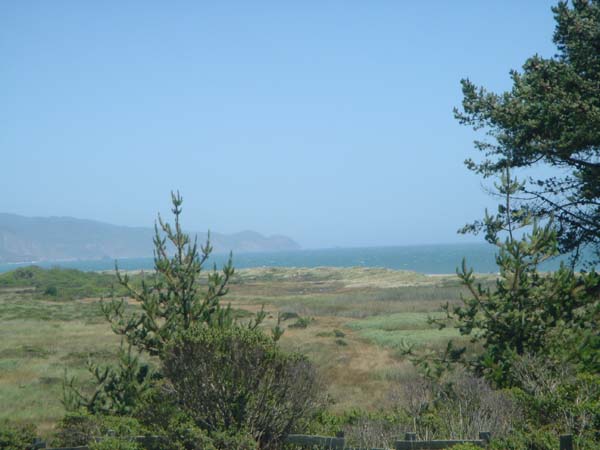 DSC01410