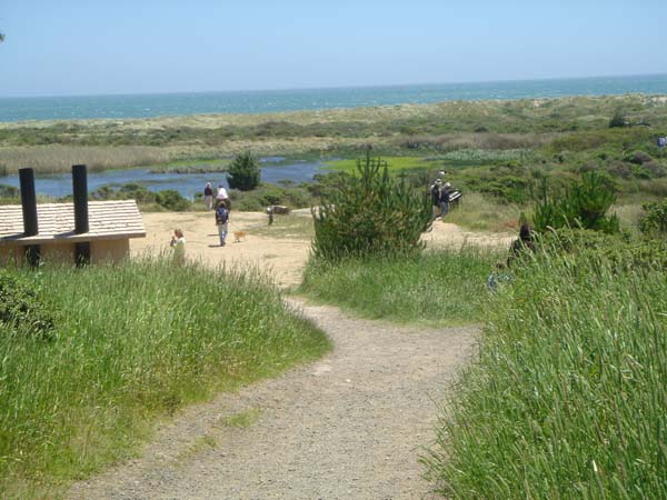 DSC01412